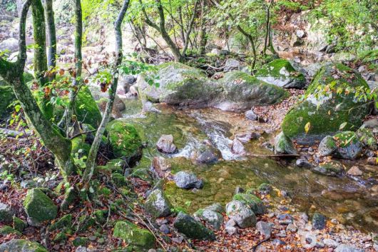 심산유골 은둔지의 희방계곡[대한민국 구석구석]
