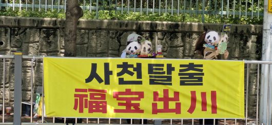 푸바오의 사천성(스촨성) 판다기지 탈출을 촉구하는 팬들의 시위