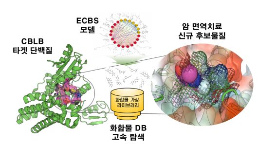 KIST 연구팀이 발굴한 암 면역치료 타깃 신약후보물질.[KIST 제공]