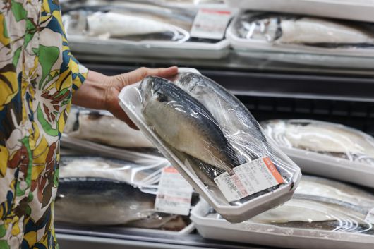 서울 시내의 한 대형마트에 진열된 고등어.[연합]