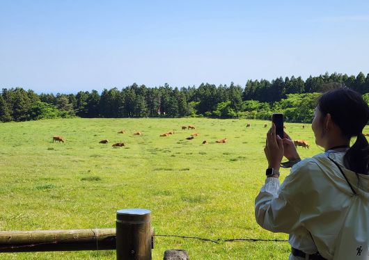 제주 물영오름 입구 소목장