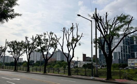 [전북환경운동연합]