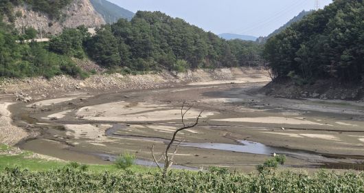 7일 강릉시민 식수원인 오봉저수지 상류가 바닥을 드러내고 있다.[연합]
