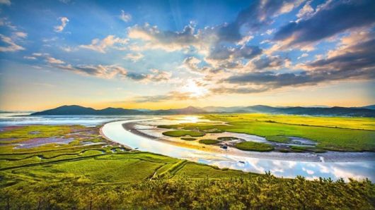 용산전망대에서 촬영한 순천만 S자 수로.