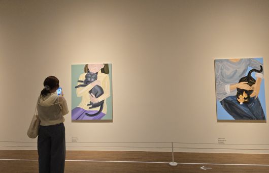 제주현대미술관 ‘개와 고양이의 시간’ 展