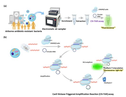 CN-TAR을 이용한 공기 중 항생제 내성 박테리아 검출 개요.[한국생명공학연구원 제공]