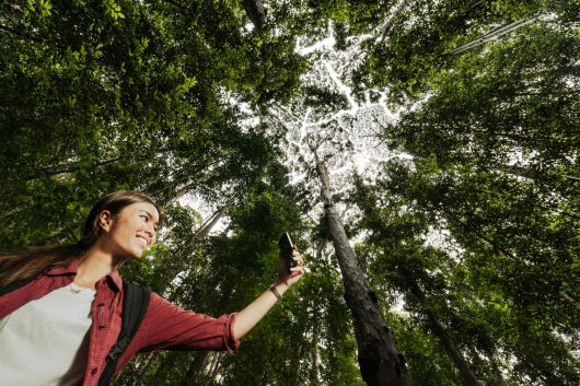 말레이시아 FRIM 셀랑고르 포레스트 파크