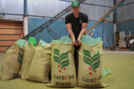 커피 생산업체 리카르도 루피노 주니어가 4일(현지시간) 브라질 브라간카 파울리스타의 보아 에스페랑카 농장에서 가공 커피 원두를 선보이고 있다. [AP]