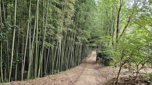 백운동 12경 중 제12경 운당원