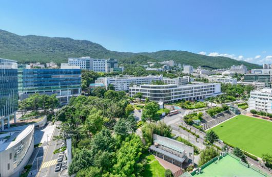 부산대학교 캠퍼스 전경. [부산대학교 홈페이지 캡처]