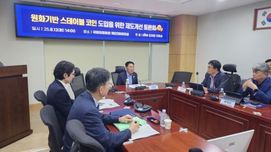 김영환(가운데) 더불어민주당 의원이 12일 국회 의원회관에서 열린 ‘원화기반 스테이블 코인 도입을 위한 제도개선 토론회’를 열고 인사말을 하고 있다. 유혜림 기자