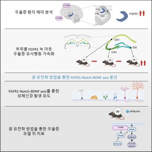 연구 내용 시각화 요약. [KAIST 제공]