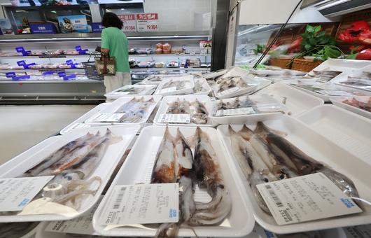 서울의 한 대형 마트에 오징어가 진열되어 있다.[연합]
