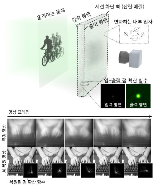 광학 측정 구성도 및 손상 영상 복원 결과.[KAIST 제공]