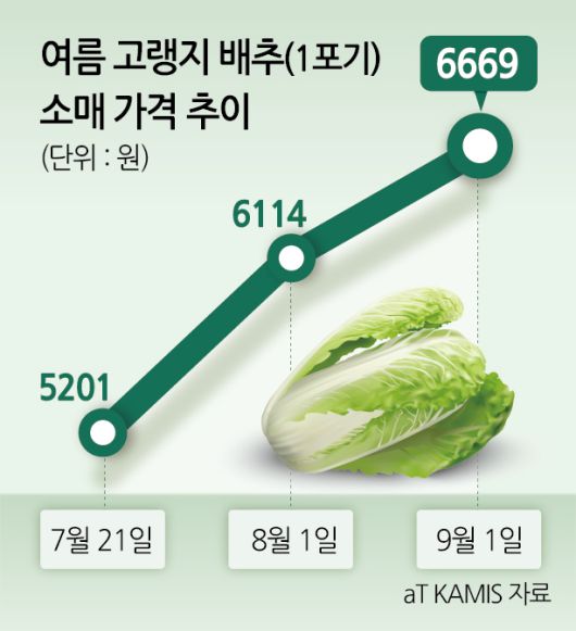 서울 서초구 하나로마트 양재점을 찾은 시민이 배추를 살피는 모습 [연합]