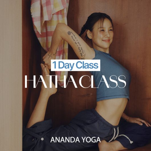 [아난다 요가 홈페이지]