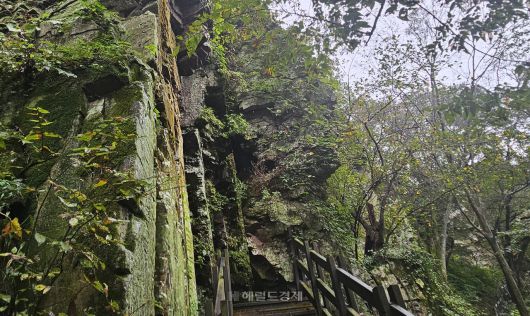 봉황대 정상으로 가는 길