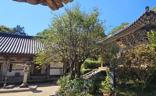 구층암 천불보전 앞 석등