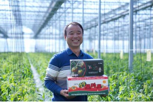 4일 열린  ‘2025년 대한민국 최고농업기술명인’ 시상식에서 채소분야 토마토 명인으로 선정된 강서구 대저동 ‘우리토마토농장’ 김정용 대표 [부산시 농업기술센터 제공]