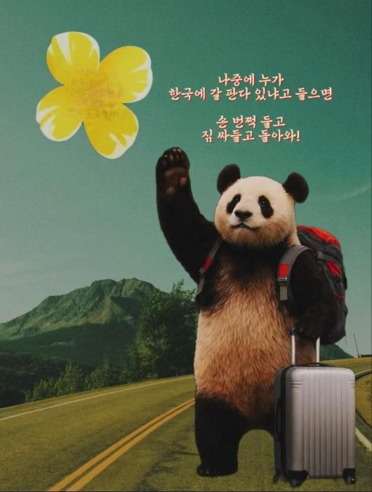 한중 정상 간 만남에서 자이언트판다 추가 한국 임대가 거론된 이후, 푸바오 팬들이 만든 ‘귀환 희망’ 일러스트