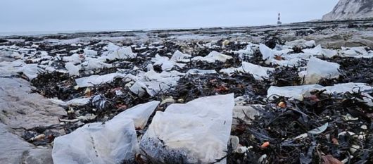 해변 곳곳에 감자튀김이 들어있는 비닐봉지가 흩어져 있다 [조엘 보니치 페이스북]