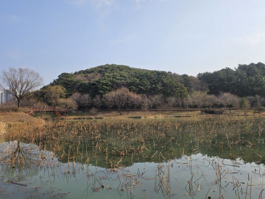 지난 18일 순천 조례호수공원. 김광우 기자.