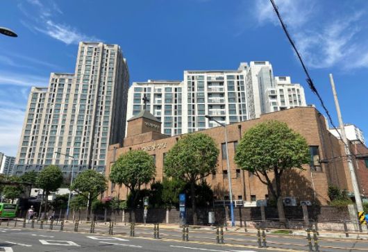 서울 동작구 상도동 은행나무. [서울시 제공]