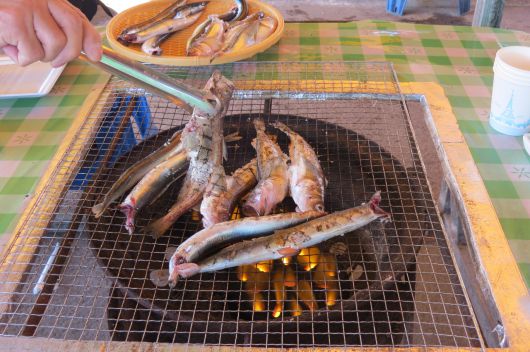 요즘 속초항·동명항 등지 양미리, 도루묵이 제철이다.