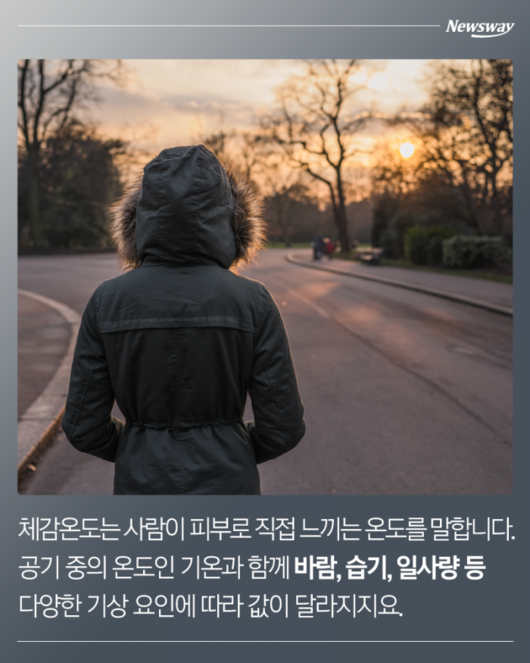 뉴스웨이