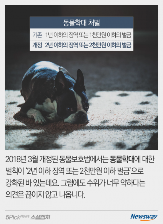 뉴스웨이