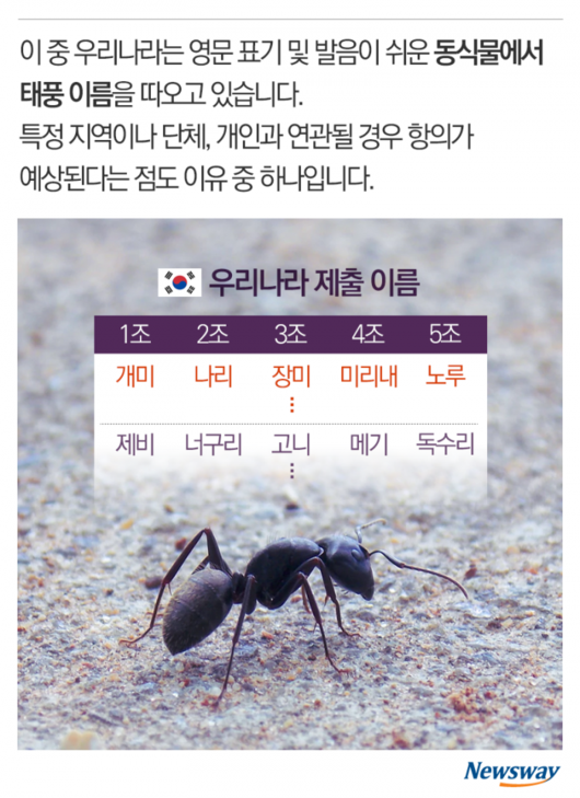 뉴스웨이