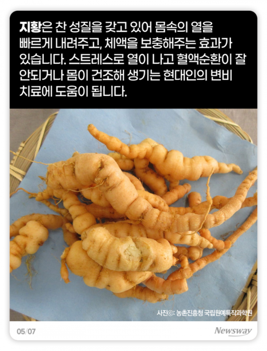 뉴스웨이