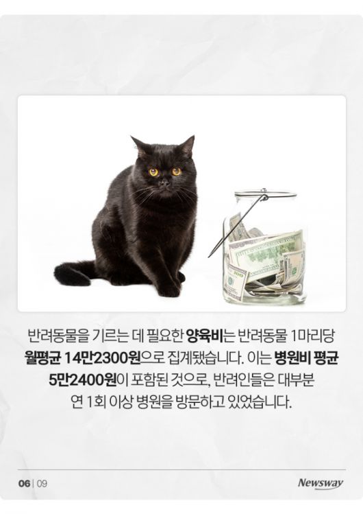 뉴스웨이