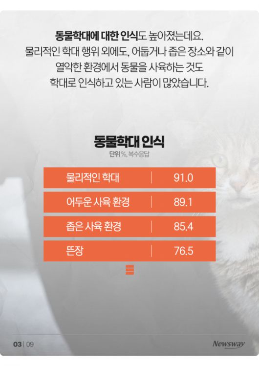 뉴스웨이
