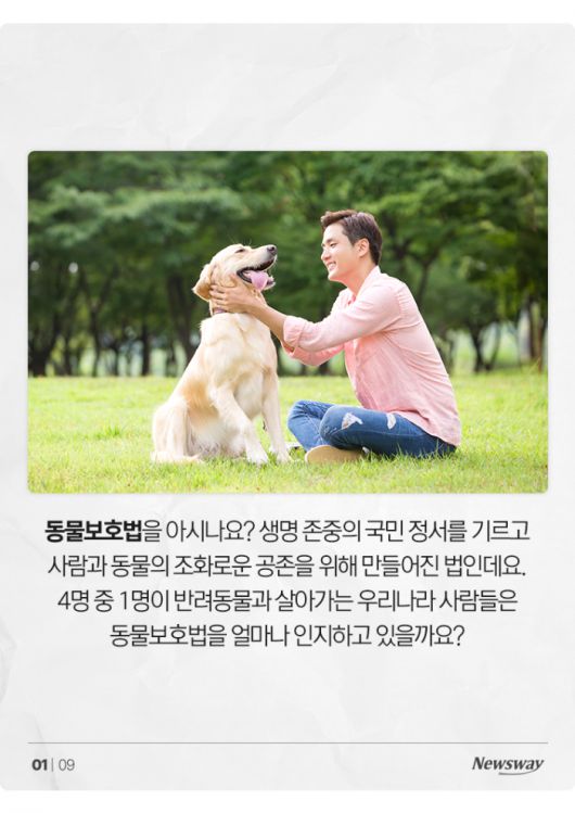 뉴스웨이