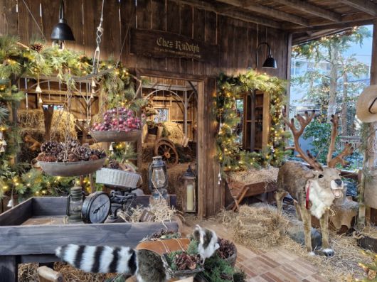 더현대서울 사운드 포레스트 '해리의 크리스마스 공방' 속 '루돌프의 집'/사진=조효정기자