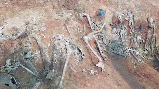 1950년 10월 민간인 집단학살이 자행된 충남 당진시 우강면 송산리에서 15일 희생자들의 유해가 모습을 드러내고 있다.