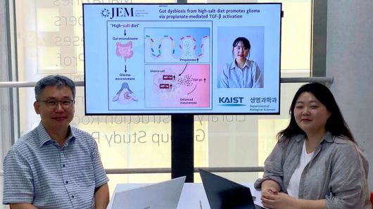 KAIST 이흥규 교수 연구팀