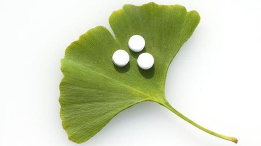 은행나무잎 추출물