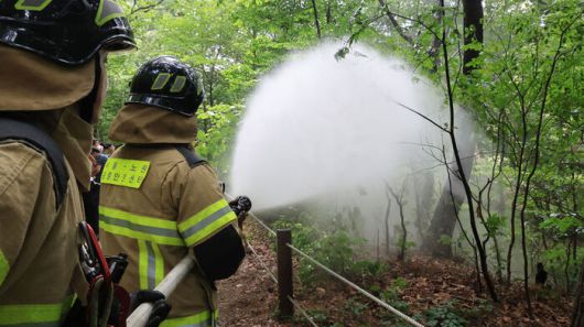 지난 3일 서울 노원구 공릉동 삼육대학교에서 소방대원들이 물을 뿌리며 러브버그 현장 방제활동을 하고 있다.