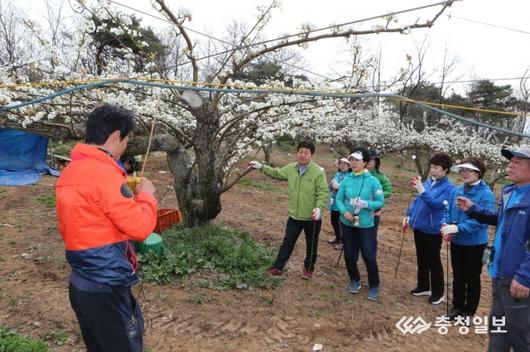 충청일보