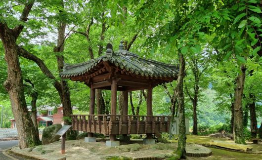 ▲ 단양군 가곡면 한드미마을 느티나무 쉼터에 20년째 주인을 기다리는 현판 없는 정자. 이 정자는 이 마을 주민들이 노무현 대통령이 마을 방문을 기념해 지은 것이다. 사진=목성균기자