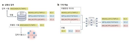 효소 기능예측을 위한 전산생물학 접근법 모식도