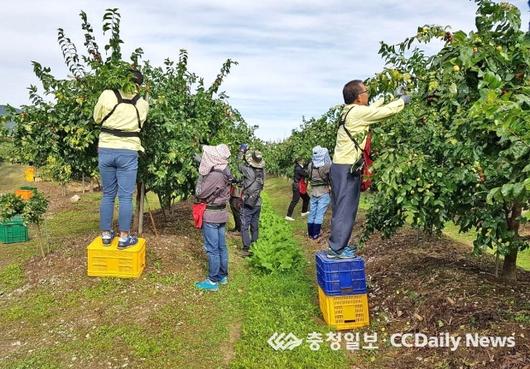 충청일보