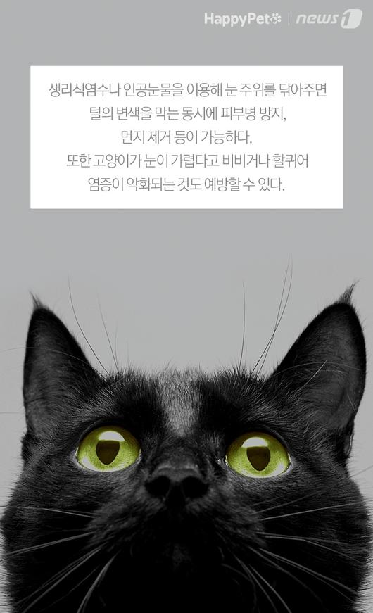 뉴스1