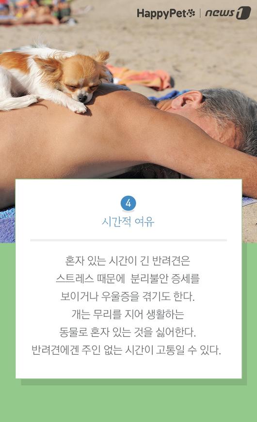 뉴스1