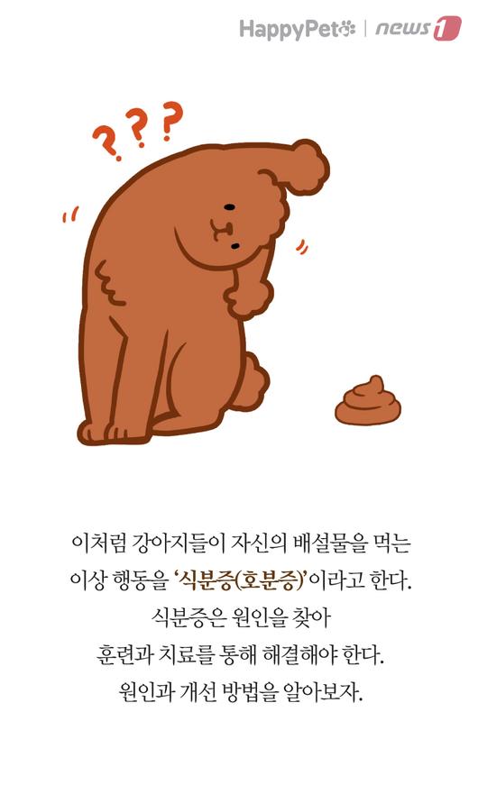 뉴스1