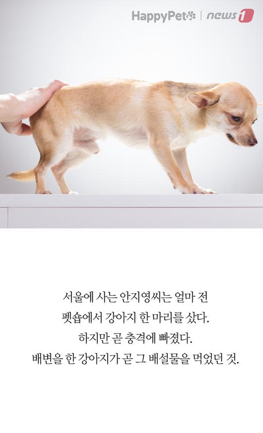 뉴스1