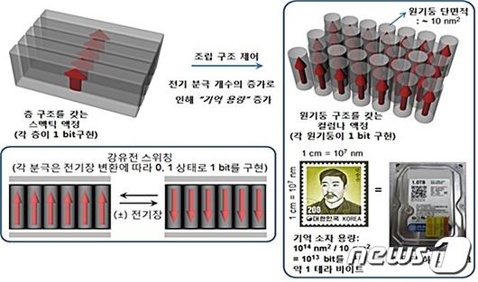 뉴스1