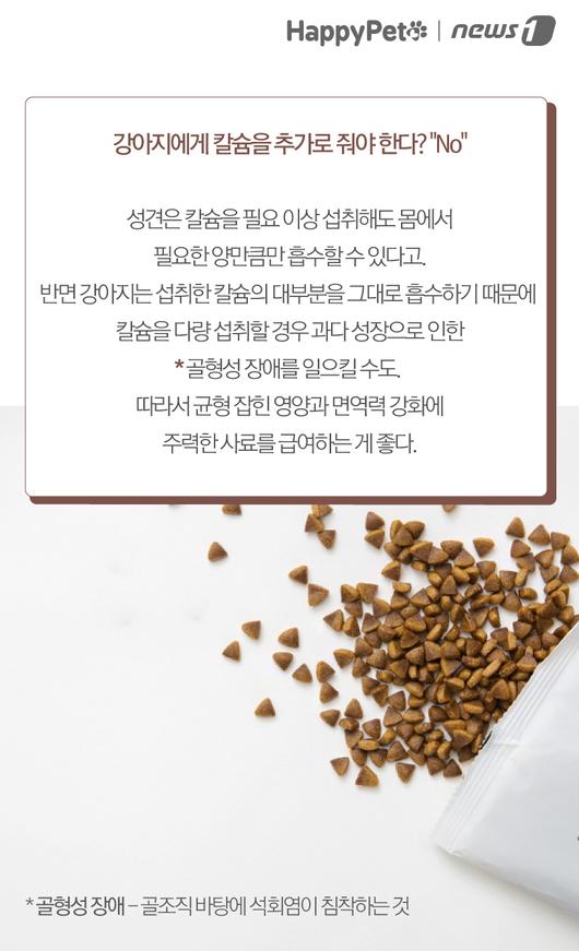 뉴스1